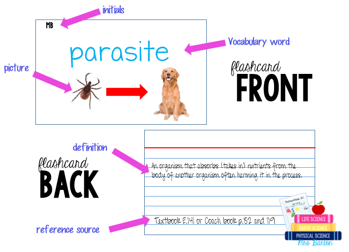 Flashcards Reference