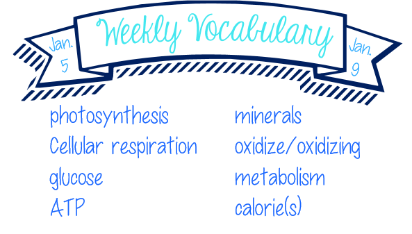 Week 18 Vocab List - Molecular Biology